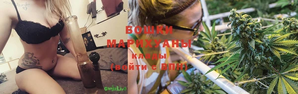 PSILOCYBIN Михайловск