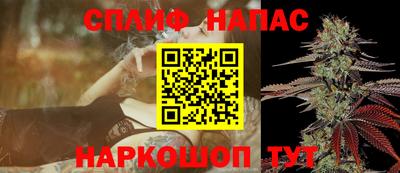 тгк Гай