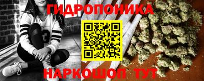 тгк Гай