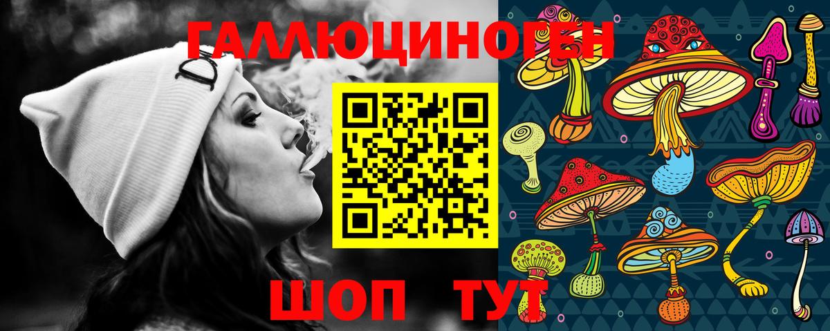 Жуковский  Псилоцибиновые грибы мицелий  Вход с VPN 