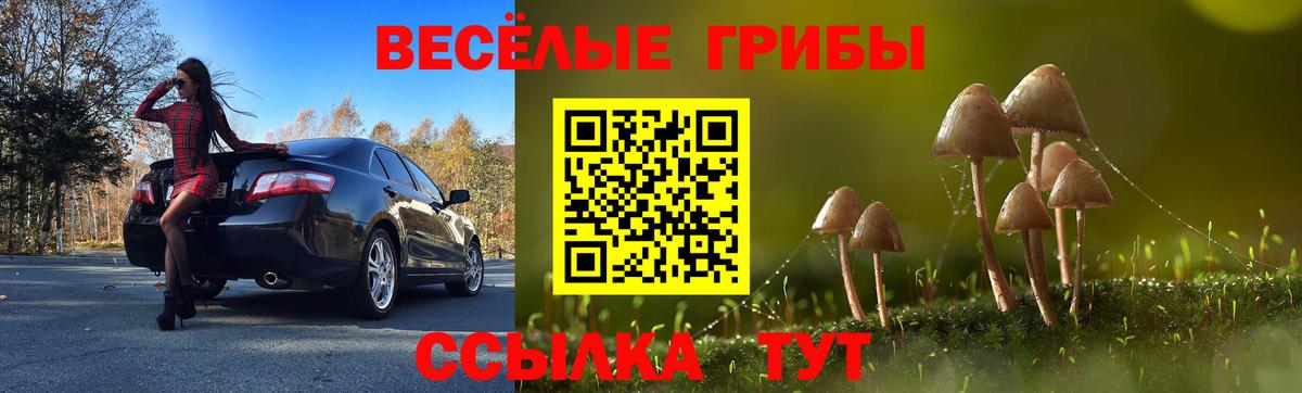 Псилоцибиновые грибы Cubensis  Псилоцибиновые грибы MAGIC MUSHROOMS  Жуковский 